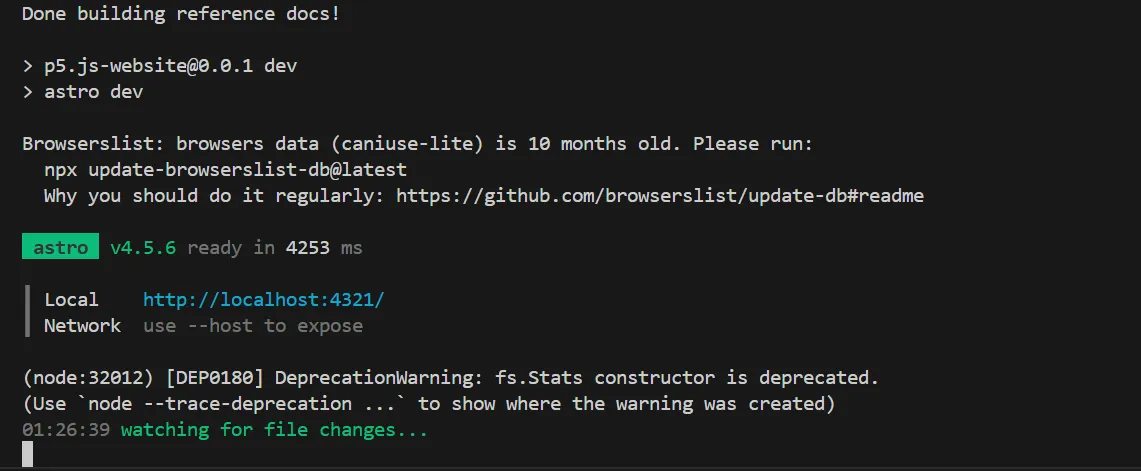 Terminal output showing successful npm run custom:dev execution